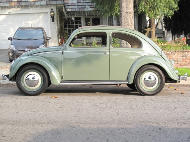 1950 volkswagen bug