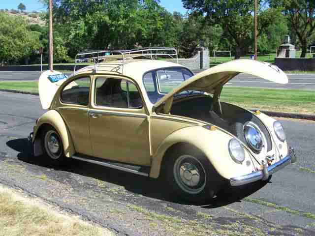 1966 Beetle Sedan Great driver located in Oregon