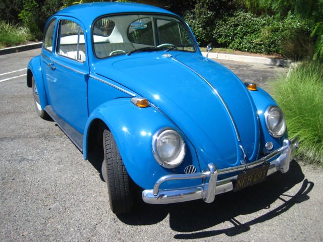 1965 baja bug